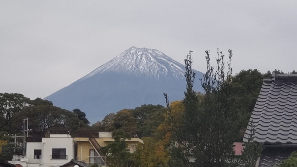 しほっこりだより　１１月号