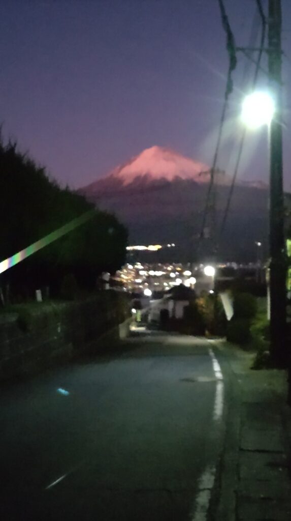 ポストもクリスマス風に